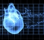 Image - Research finds turbo-charging hormone can regrow the heart